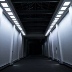 The Time-Travelling Blockchain Developer