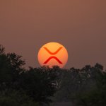 Ripple partners with Ghana fintech firm Waya to bolster instant payments across Africa