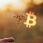 Massive Grayscale Bitcoin Trust (GBTC) premium points to surge in long-term “hodlers”