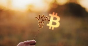 Massive Grayscale Bitcoin Trust (GBTC) premium points to surge in long-term “hodlers”