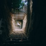 Beginning of the greatest Bitcoin bull trap? BTC vulnerable after 191% upsurge