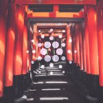 These three factors could determine the mid-term fate of Cardano (ADA)