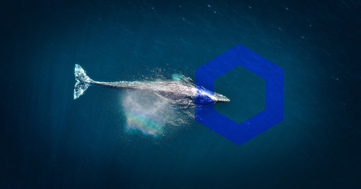 Chainlink: 10 největších velryb nyní drží 63,3% nabídky LINK v oběhu