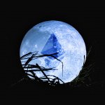 A majority of investors think Ethereum will end 2020 above $500: VC poll