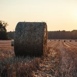 Big Short 2.0: Yield farming on DeFi apps? Here’s the risk no one talks about