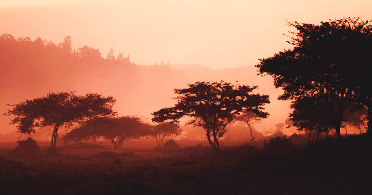 Stellar (XLM) based Akon’s Akoin to digitize medical access in Rwanda