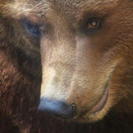 CME futures traders widely bearish on Bitcoin as a big movement looms