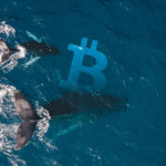 Whales hold steady: On-exchange Bitcoin supply stagnates despite rally past $11k