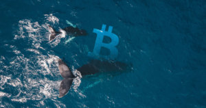 Whales hold steady: On-exchange Bitcoin supply stagnates despite rally past $11k