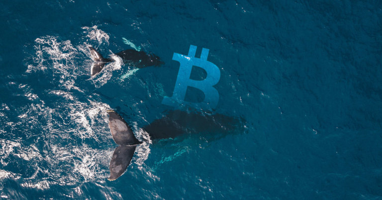 Whales hold steady: On-exchange Bitcoin supply stagnates despite rally past $11k