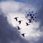 Cardano (ADA) is now up more than 200% since the start of 2020: data