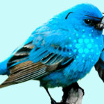 Cardano can solve Twitter’s security problem with verified tweets