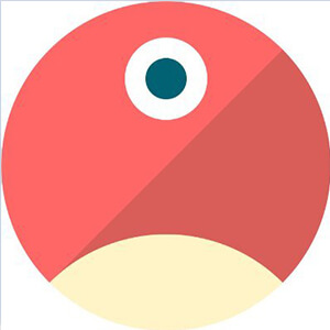 pNetwork