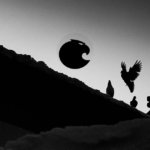 Aragon Network (ANT) to soon launch “Phoenix” and “Firebird” phases