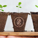 Analysis: Ethereum’s Yearn.finance (YFI) is one of the cheapest coins in DeFi