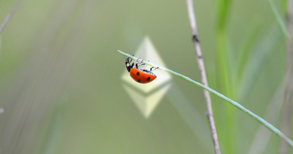 User who turned $200 in Ethereum into $250k due to altcoin bug comes clean