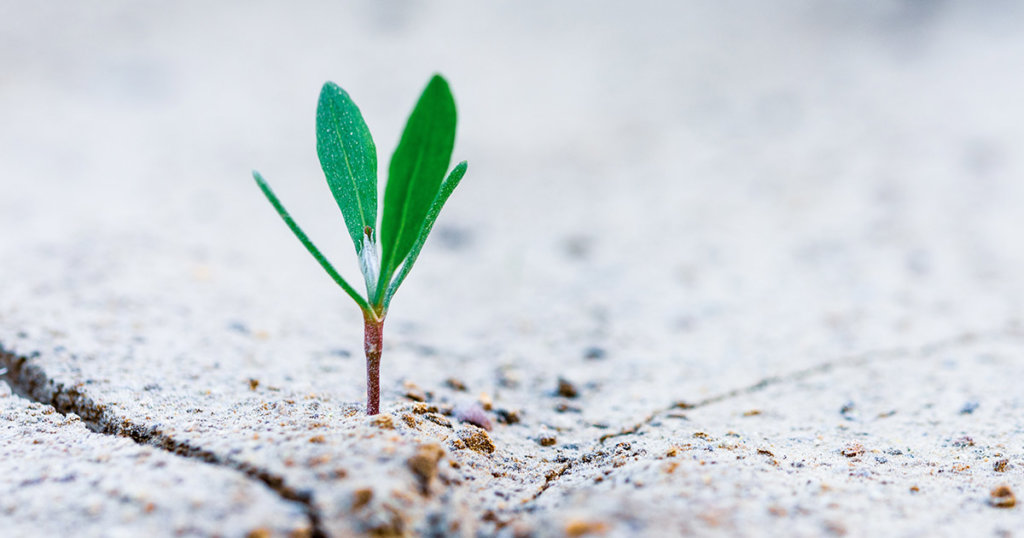 Synthetix’s founder: crypto and DeFi still in the earliest inning of its next growth cycle