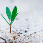 Synthetix’s founder: crypto and DeFi still in the earliest inning of its next growth cycle