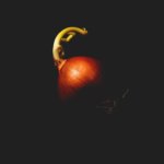red onion on black background