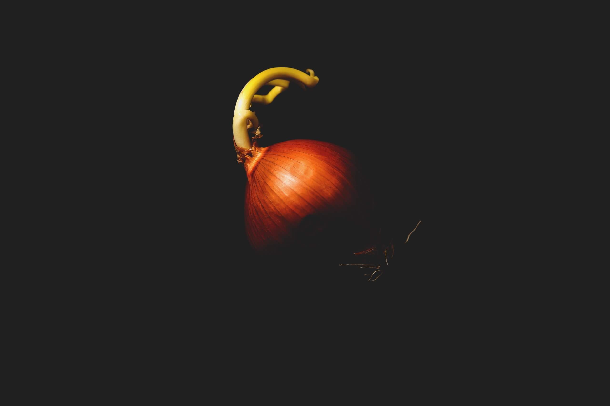 red onion on black background