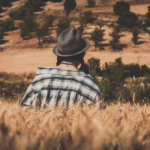 Uniswap volumes bump to $2 billion after attack on DeFi project Harvest Finance