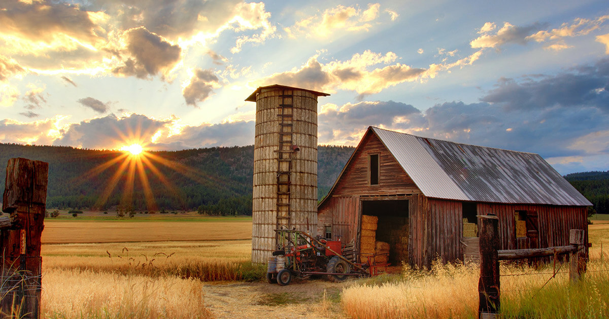 Newfangled Ethereum DeFi coin surges 600% in 24 hours after listing