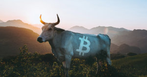 Synthetix founder calls Bitcoin’s weekly chart the “most bullish thing” he has seen