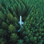 airplane on ground surrounded with trees