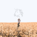 How an unfortunate Ethereum yield farmer lost $140,000 in UNI overnight