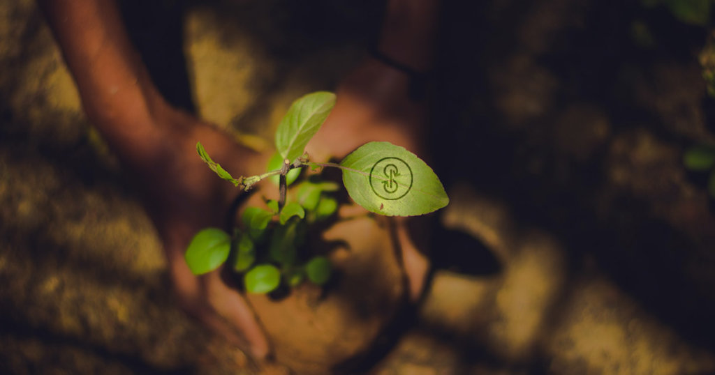 Founder of DeFi’s Yearn.finance (YFI) just launched another Ethereum experiment