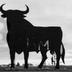 Bitcoin bulls resolute despite $2,500 drop from highs: here’s why