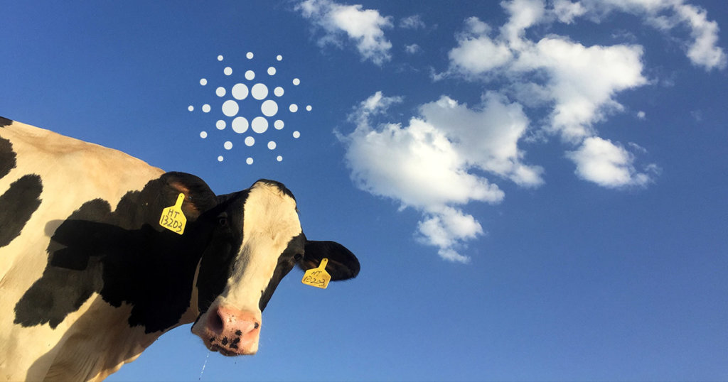 Introducing BeefChain, a rancher-to-retail supply chain traceability solution using Cardano