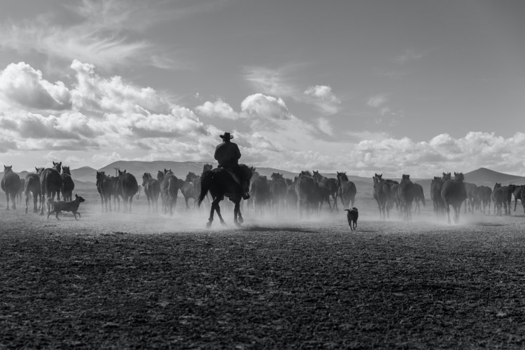 grayscale photo of man riding horse