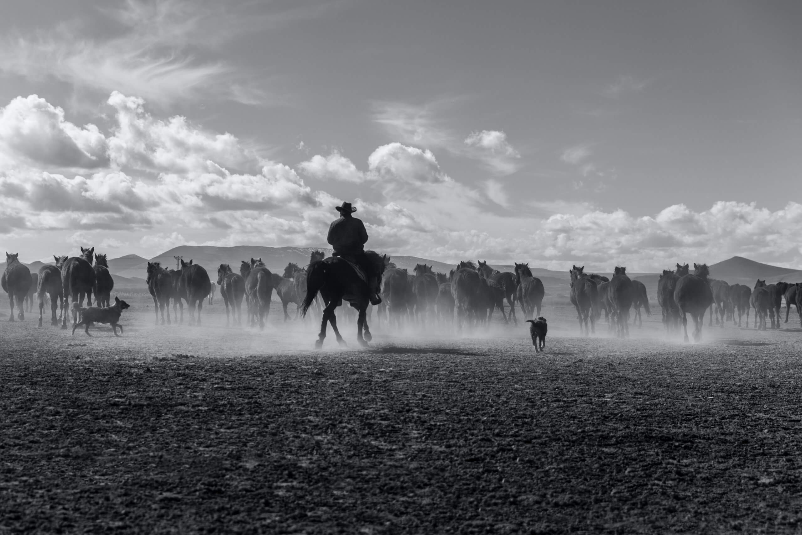 grayscale photo of man riding horse