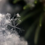 focus photography of snow flakes