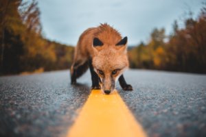 New MetaMask offering aims to bring legacy finance to Ethereum DeFi market