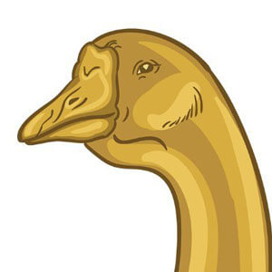 Goose Finance
