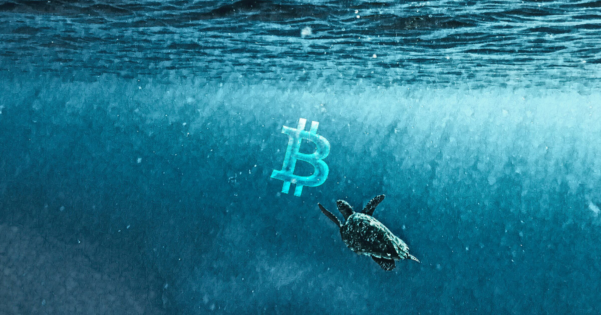 ocean bitcoin