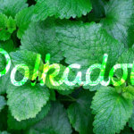 What the new ‘Statemint’ proposal means for governance on Polkadot