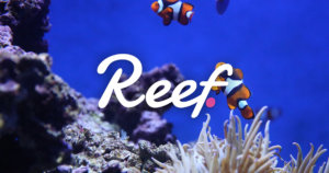 Suspicions raised as Alameda Research denies affiliation with Reef Finance