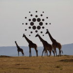 Cardano Africa Special reveals second major partnership, this time with Tanzania