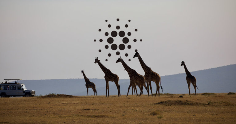 Cardano Africa Special reveals second major partnership, this time with Tanzania