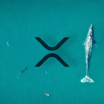 Data shows “whales” are buying XRP as public sentiment increases