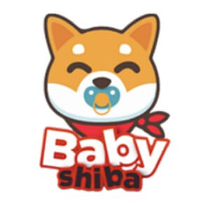 Baby Shiba