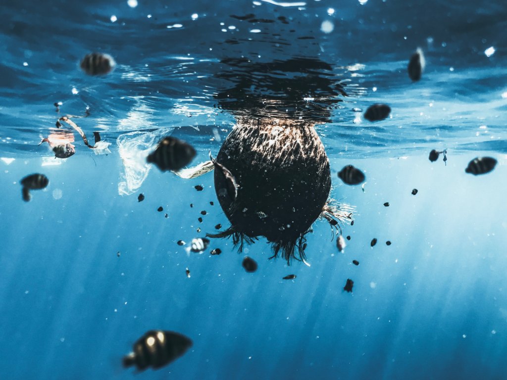 VeChain (VET) verifies results of a 305 metric tonne plastic clean-up in the ocean