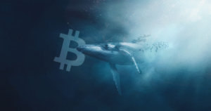 A top Bitcoin whale picked up 3,706 BTC amidst brutal dip, data shows