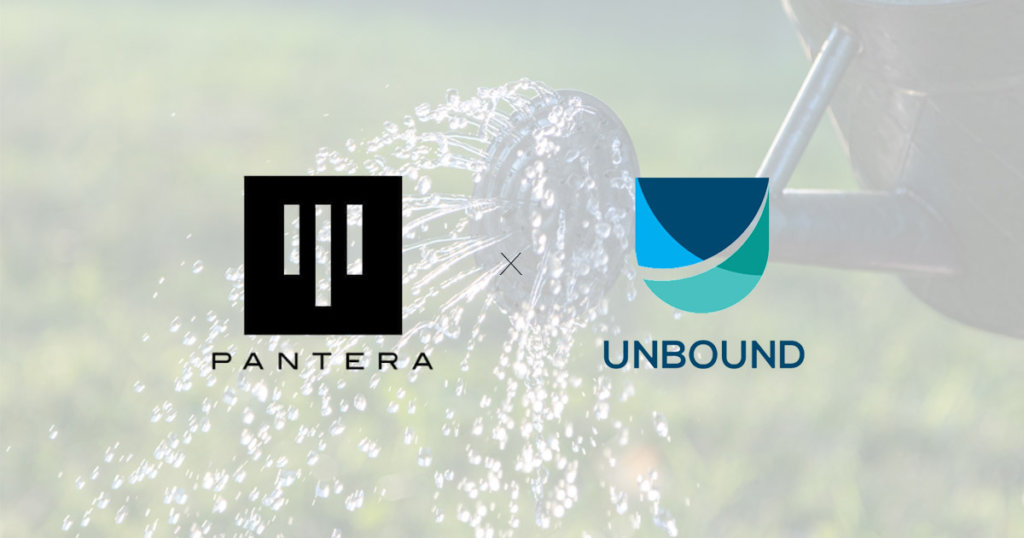 Why this crypto VC bet on DeFi cross-chain liquidity tool Unbound Finance