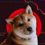 Shiba Inu frenzy: ShibaSwap TVL surges to record $1.56 billion in two days