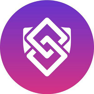 Steady State Finance logo