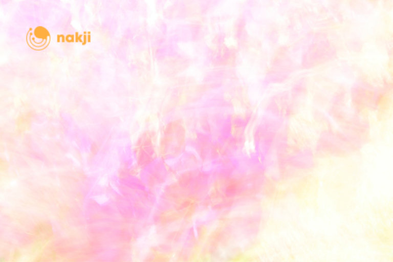 NAKJI NETWORK Completes a $8.8 Million Private Round Of Fundraising